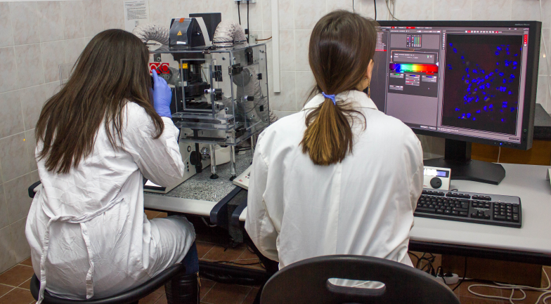 letnji program obuke